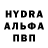 ГАШ гарик Robot Hunter