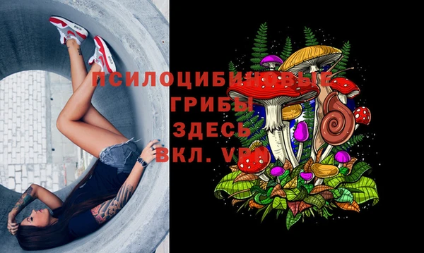MDMA Premium VHQ Волосово