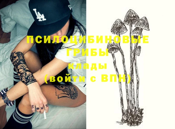 дмт Бородино