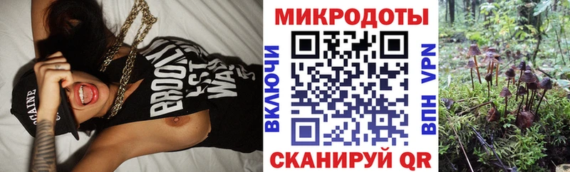 KRAKEN вход нарко площадка какой сайт Знаменск Галлюциногенные грибы мухоморы купить наркотики сайты